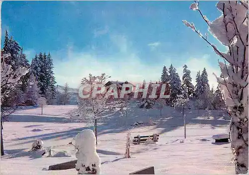 Cartes postales Vue depuis la terrasse de la Potiniere