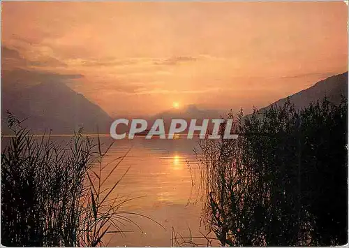 Ansichtskarte AK Sonnenuntergang am Thunersee