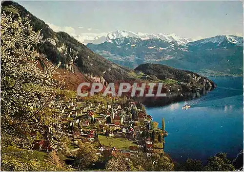 Cartes postales Vitznau am Viewaldstattersee mit den Nidwaldner Alpen