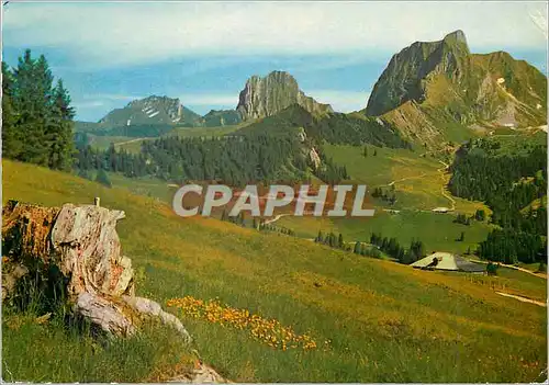 Cartes postales moderne Gantrisch Schwefelberg Gebiet Berner Oberland