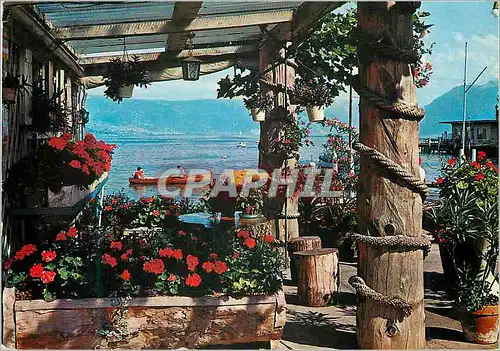 Cartes postales moderne Lac Leman Vue pittoresque sur le lac Leman