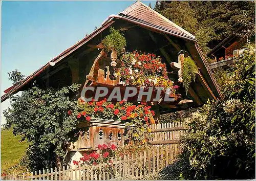 Cartes postales moderne Berner Speicher