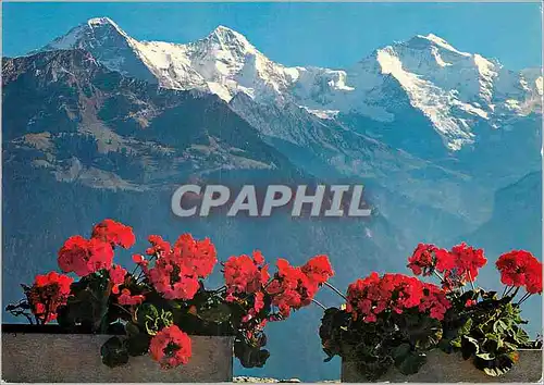 Cartes postales moderne Blick vom Harderkulm auf Eiger Monch und Jungfrau