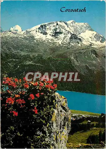 Cartes postales moderne Silvaplana Piz Corvatsch