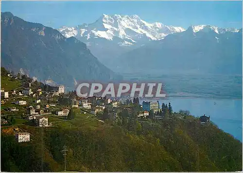 Cartes postales moderne Glion sur Montreux Lac Leman et les Dents du Midi