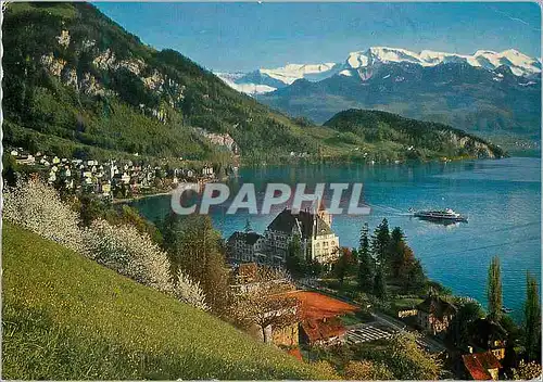Cartes postales moderne Vitznau am Vierwaldstattersee Park Hotel und Nidwaldner Alpen