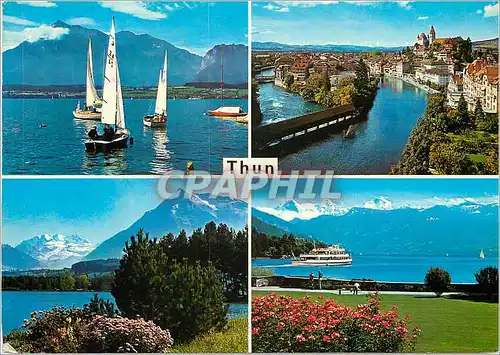 Cartes postales moderne Thun