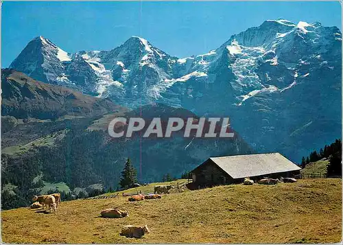 Cartes postales moderne Eiger Monch und Jungfrau von Winteregg