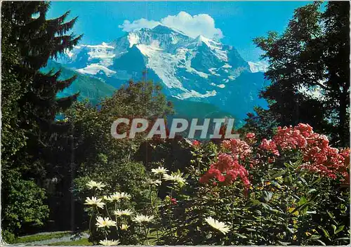 Cartes postales moderne Jungfrau Berner Oberland