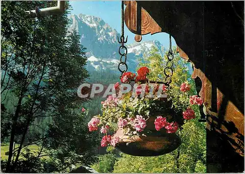 Cartes postales moderne Souvenir de Suisse