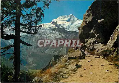 Cartes postales moderne Der Kapellenweg bei Saas Feegletscher Alphubel