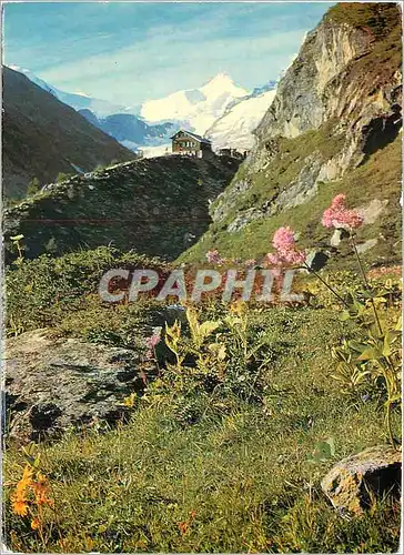 Cartes postales moderne Cabane Restaurant du Petit Mountet Anniviers Valais Au fond Pointe de Zinal