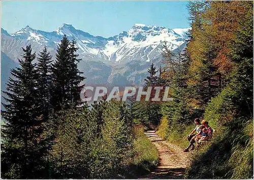 Cartes postales moderne Der Hornliweg bei Adelboden Tierhornli Steghorn Wildstrubel