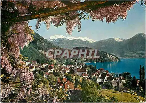 Cartes postales moderne Vitznau am Vierwaldstattersee Glyzinen Pergola und Nichwaldner Alpen