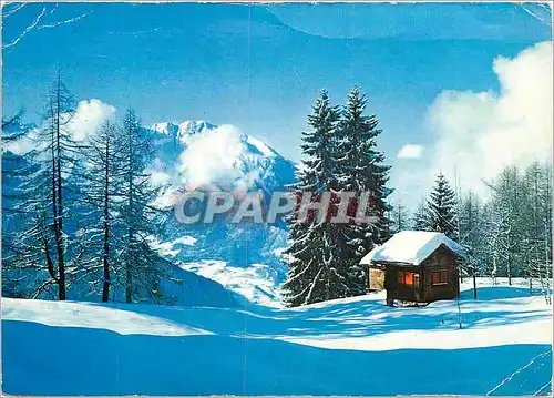 Cartes postales moderne Feerie hivernale