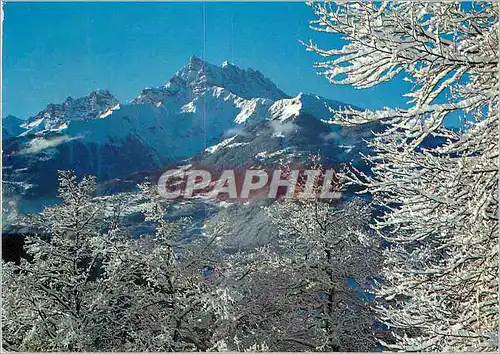 Cartes postales moderne Paysage d hiver en Suisse Les Dents du Midi