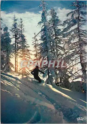 Moderne Karte Ski sauvage