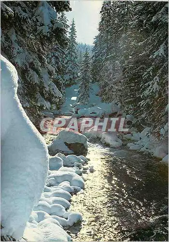 Cartes postales moderne Hiver valaisan