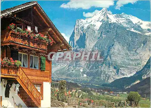 Cartes postales moderne Grindelwald mit Wetterhorn Berner Oberland