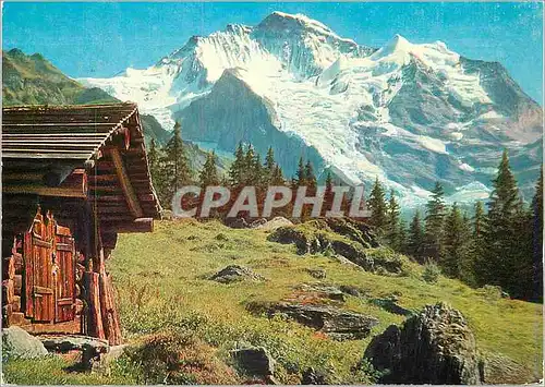 Cartes postales moderne Berner Oberland Jungfrau