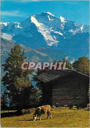 Cartes postales moderne Jungfrau
