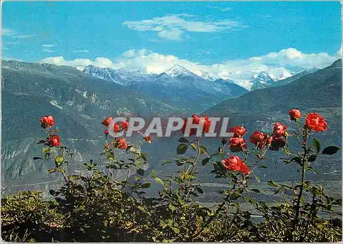 Cartes postales moderne Suisse Panorama vu de Crans Montana