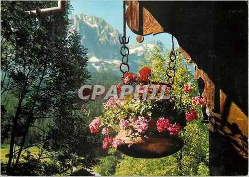 Cartes postales moderne Souvenir de Suisse