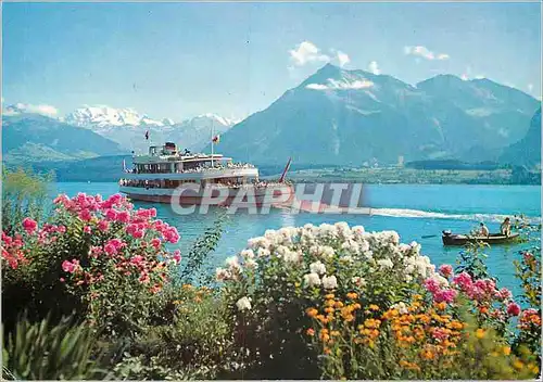 Cartes postales moderne Am Thunersee Blumisalp und Niesen Bateau