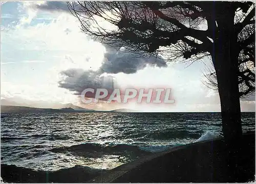 Cartes postales Orage sur le lac Leman