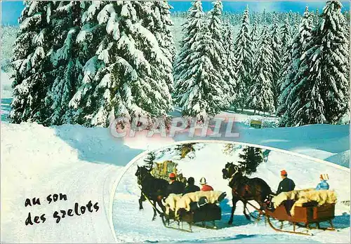 Cartes postales Au son des Grelots