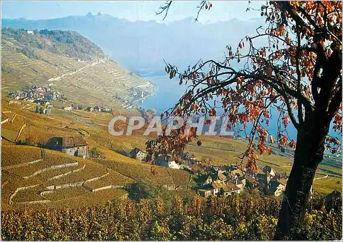 Cartes postales Lausanne