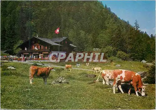 Ansichtskarte AK Suisse Auberge Communale de Pont de Nant Les Plains sur Bex