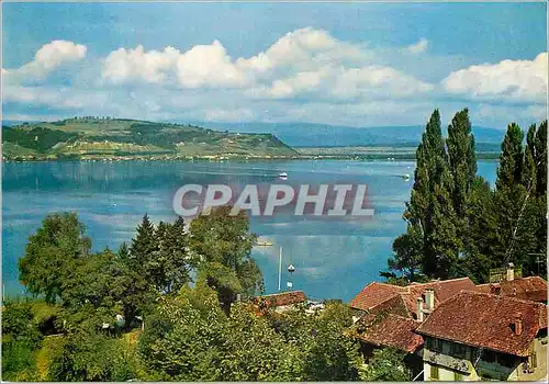 Cartes postales La de Morat