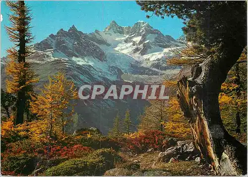 Cartes postales Suisse Obergabelhorn und Wellenkuppe bei Zermatt