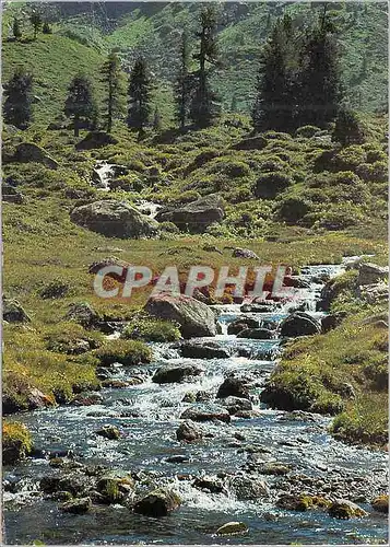 Cartes postales moderne Ruisseau de Montagne