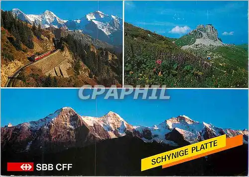 Cartes postales moderne Schynige Platte