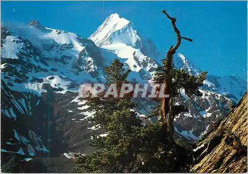 Cartes postales moderne Das Bietschhorn im Lotschental
