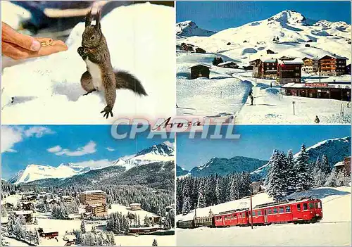 Moderne Karte Eichhornchen Weisshorn Untersee Rhatische Bahn Train Ecureuil