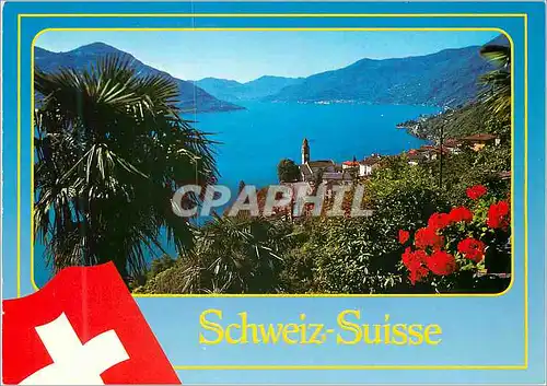 Cartes postales moderne Ronco s.Ascona