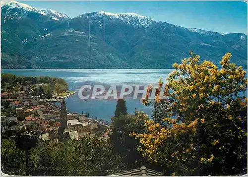 Cartes postales moderne Lago Maggiore Scona