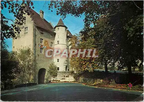 Cartes postales moderne Baden  Das Langvogteischlof Heutschit Museum