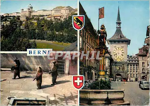 Cartes postales moderne Berne Ours