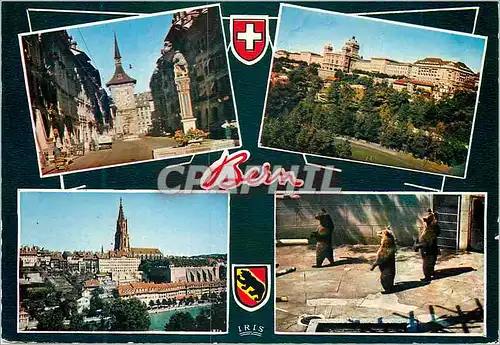 Cartes postales moderne Views of Country Ourse Bern