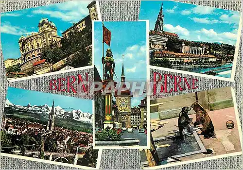 Cartes postales moderne Berne Ours