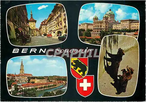 Moderne Karte Berne Ours