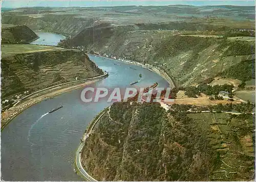 Cartes postales moderne Der Rhein