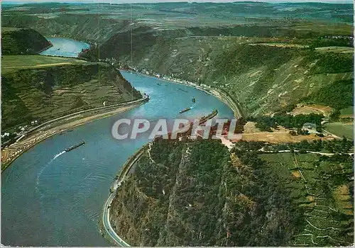 Cartes postales moderne Rhein