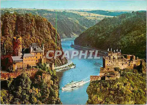Cartes postales moderne Der Schone Rhein