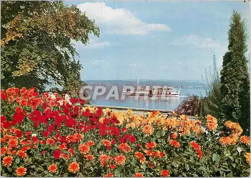 Cartes postales moderne Ufergarten