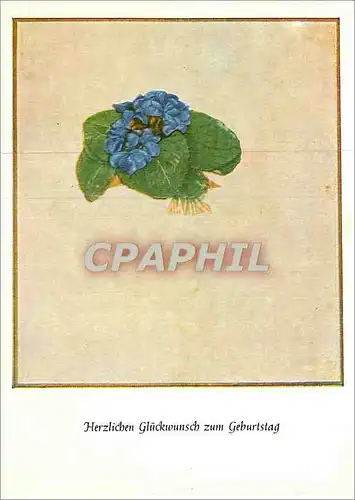 Cartes postales moderne Albrecht-Durer